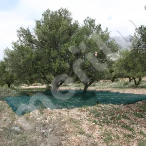 Zeytin Toplama Filesi - 95lik - Yeşil