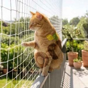 balkonda beyaz kedi güvenlik filesi uygulaması