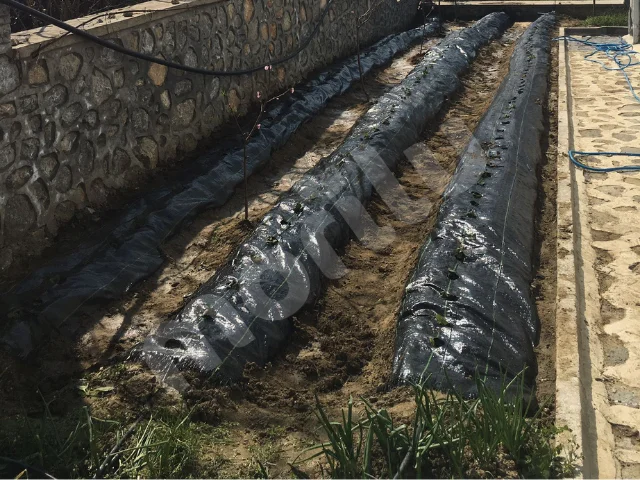 Yabani Ot ve Sera Taban Örtüsü - Siyah 2 yabani ot sera taban ortusu 1