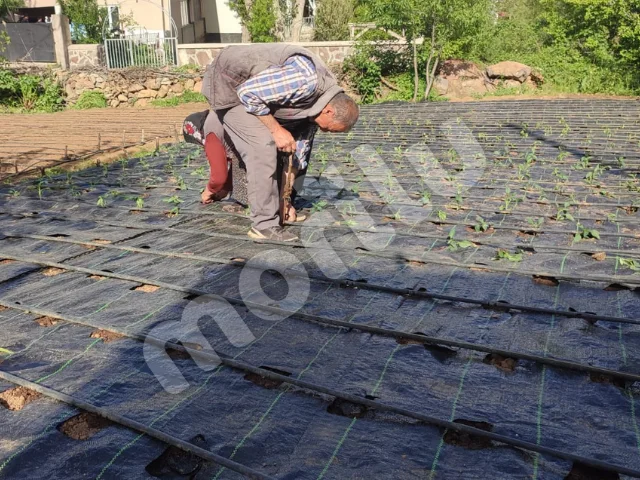 Yabani Ot ve Sera Taban Örtüsü - Siyah 4 yabani ot sera taban ortusu 5