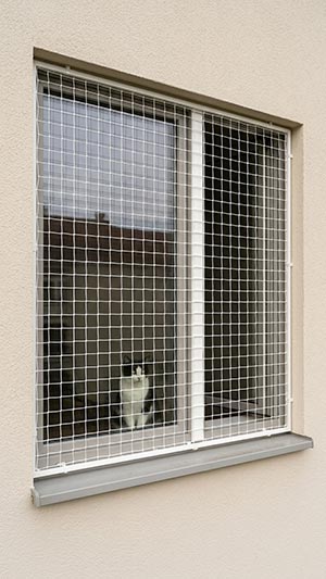 Kedi Filesi 4 Kedi-Filesi-Pencere-Uygulamasi